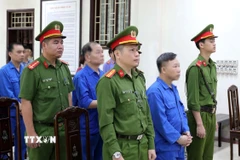 Các bị cáo tại phiên tòa. (Ảnh: Thế Duyệt/TTXVN)