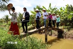 Du lịch sinh thái mang đặc trưng miệt vườn ở cù lao Bảo, tỉnh Bến Tre. (Ảnh: Hồng Đạt/TTXVN)