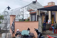 Bắt giữ nghi phạm gây ra vụ trọng án tại Quảng Trị khiến 1 người tử vong
