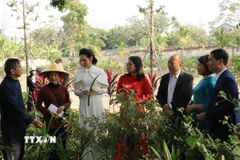 Du khách tham quan "Vườn thuốc đời người" trong Tour du lịch tìm về cội nguồn. (Ảnh: Hải Yến/TTXVN)