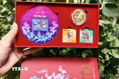 Thiết kế tổng thể bộ đồng xu “Nhật mã phi vân” - tuyệt tác nghệ thuật chào Xuân Bính Ngọ 2026. (Ảnh: TTXVN phát)