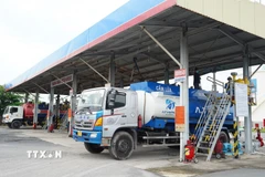 ( Ảnh minh họa. Thanh Tân/TTXVN)