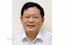 Bị can Trần Đình Triển. (Ảnh: BCA/TTXVN phát)