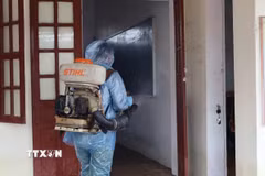 Phun hóa chất diệt khuẩn sau mưa, bão. (Ảnh: Công Tường/TTXVN)