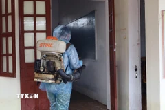 Phun hóa chất diệt khuẩn sau mưa, bão. (Ảnh: Công Tường/TTXVN)