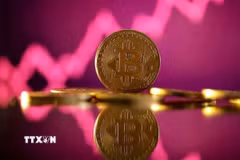 Đồng bitcoin. (Ảnh: Reuters/TTXVN)