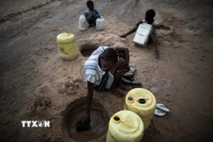 Người dân cố gắng múc nước từ đáy sông khô cạn ở Turkana, Kenya. (Ảnh: AFP/TTXVN)