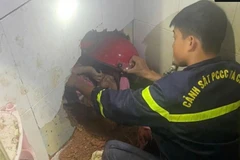 Bé gái bị đất đá sạt lở vùi lấp ở Lâm Đồng đã qua cơn nguy kịch