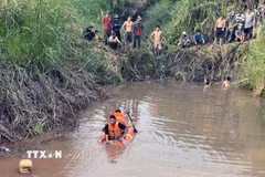Ảnh minh họa. (Ảnh: TTXVN phát)