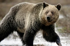 (Ảnh minh họa. Nguồn: skynews)