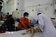 Các bác sỹ khoa Nhi, Bệnh viện đa khoa Bạc Liêu (tỉnh Cà Mau) thăm khám cho các bệnh nhi mắc sốt xuất huyết điều trị nội trú. (Ảnh: TTXVN phát)