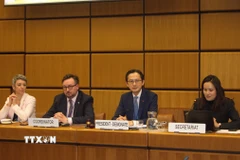 Đại sứ Đỗ Hùng Việt, Trưởng Phái đoàn Thường trực Việt Nam tại Liên hợp quốc trên cương vị Chủ tịch, điều hành phiên tham vấn. (Ảnh: TTXVN phát)