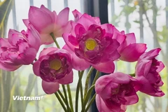 (Ảnh: Vietnam+)