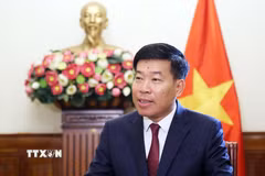 Thứ trưởng Bộ Ngoại giao Nguyễn Mạnh Cường. (Ảnh: An Đăng/TTXVN)