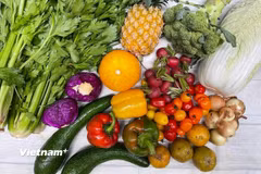 Chất lượng chế độ ăn ảnh hưởng trực tiếp đến nguy cơ mắc bệnh, tuổi thọ và sức khỏe tinh thần. (Nguồn: Vietnam+)