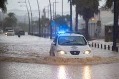Đường phố Tây Ban Nha ngập úng do mưa lớn. (Ảnh: RTE)
