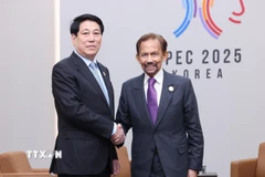 Chủ tịch nước Lương Cường gặp Quốc vương Brunei Hassanal Bolkiah. (Ảnh: Lâm Khánh/TTXVN)