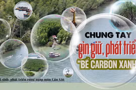 Rừng ngập mặn Cần Giờ - chung tay gìn giữ "bể carbon xanh”