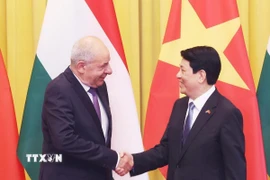 Chủ tịch nước Lương Cường và Tổng thống Hungary Sulyok Tamas chụp ảnh chung trước hội đàm. (Ảnh: Lâm Khánh/TTXVN)