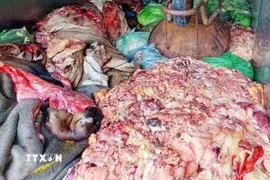 Số da và mỡ lợn không có giấy tờ được thu giữ. (Ảnh: TTXVN phát)