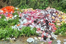 Hàng nghìn sản phẩm thực phẩm chức năng bị đổ bỏ ra đường ở Thành phố Hồ Chí Minh. (Ảnh: Hương Giang/TTXVN)