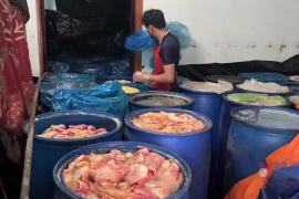 Gia Lai: Cận cảnh những thùng da lợn, mỡ lợn đã bốc mùi tại cơ sở lạp xưởng