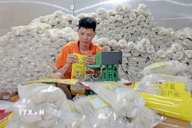 Sản phẩm mỳ gạo của Hợp tác xã Tiến Diện đạt OCOP 3 sao đến từ Thái Nguyên đã được tiêu thụ tại thị trường Đức. (Ảnh: Trần Việt/TTXVN)