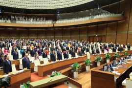 Các đại biểu Quốc hội thực hiện nghi lễ chào cờ. (Ảnh: An Đăng/TTXVN)