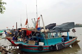 Các tàu đánh cá vào tránh trú bão tại khu vực bến Chanh, phường Quảng Yên, tỉnh Quảng Ninh. (Ảnh: Đức Hiếu/TTXVN)