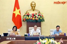 Chủ tịch Quốc hội Trần Thanh Mẫn phát biểu. (Ảnh: Doãn Tấn/TTXVN)