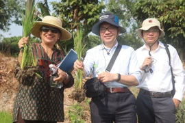 Bà Shobha Shetty, Giám đốc Toàn cầu phụ trách Nông nghiệp và Lương thực, Ngân hàng Thế giới kiểm tra lúa được trồng theo mô hình canh tác lúa giảm phát thải. (Ảnh: Thu Hiền/TTXVN)
