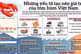 Những yếu tố tạo nên giá trị cho tôm hùm Việt Nam