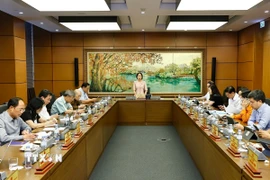 Đoàn đại biểu Quốc hội thành phố Hà Nội thảo luận ở tổ. (Ảnh: Doãn Tấn/TTXVN)