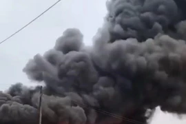 (Ảnh minh họa: TTXVN phát)