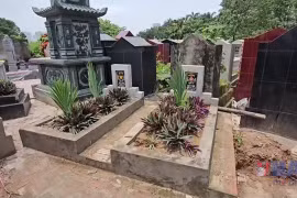 (Ảnh minh họa: TTXVN)