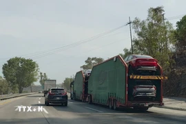 Vận chuyển ôtô sản xuất tại Mexico xuất khẩu sang Mỹ trên tuyến cao tốc thuộc khu vực bang San Luis Potosí, cách biên giới Mexico-Mỹ khoảng 400km. (Ảnh: Phi Hùng/TTXVN)