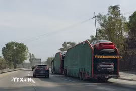 Vận chuyển ôtô sản xuất tại Mexico xuất khẩu sang Mỹ trên tuyến cao tốc thuộc khu vực bang San Luis Potosí, cách biên giới Mexico-Mỹ khoảng 400km. (Ảnh: Phi Hùng/TTXVN)