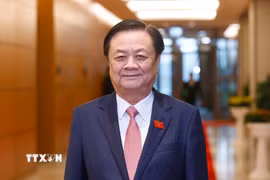 Phó Chủ tịch Quốc hội Lê Minh Hoan. (Ảnh: TTXVN)