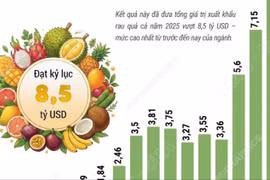 Xuất khẩu rau quả “lội ngược dòng” ấn tượng, đạt kỷ lục 8,5 tỷ USD năm 2025