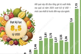 Xuất khẩu rau quả “lội ngược dòng” ấn tượng, đạt kỷ lục 8,5 tỷ USD năm 2025