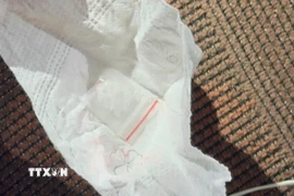 (Ảnh minh họa: TTXVN phát)