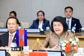 Chủ tịch Quốc hội Campuchia Samdech Khuon Sudary phát biểu. (Ảnh: Tuấn Anh/TTXVN)