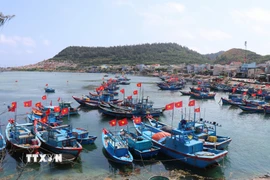 Cờ Tổ quốc trên nhiều tàu cá ở đặc khu Lý Sơn (Quảng Ngãi), hướng về Ngày bầu cử. (Ảnh: Phạm Cường/TTXVN)