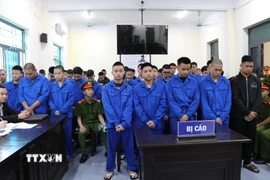 Các bị cáo tại phiên tòa. (Ảnh: Hải Yến/TTXVN)