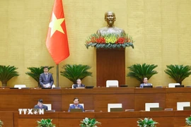 Phó Chủ tịch Quốc hội Vũ Hồng Thanh phát biểu. (Ảnh: Doãn Tấn/TTXVN)