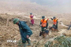 Triển khai lực lượng tìm kiếm nạn nhân mất tích trong vụ sạt lở ở xã biên giới Hùng Sơn với sự hỗ trợ của chó nghiệp vụ. (Ảnh: Bộ Tư lệnh Quân khu 5/TTXVN phát)