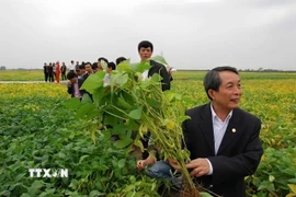 Giáo sư, Viện sỹ Trần Đình Long với thành tựu nghiên cứu của mình. (Ảnh: Diệu Thúy/TTXVN)