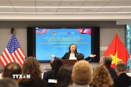 Giáo sư Nguyễn Thị Liên Hằng, Giám đốc Viện Nghiên cứu Đông Á Weatherhead (Đại học Columbia, Mỹ) phát biểu tại hội thảo. (Ảnh: Ngọc Quang/TTXVN)