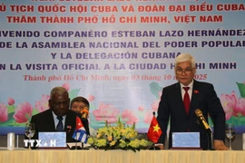 Ông Nguyễn Văn Lợi, Trưởng Đoàn đại biểu Quốc hội Thành phố Hồ Chí Minh phát biểu tại buổi làm việc. (Ảnh: Thanh Vũ/TTXVN)