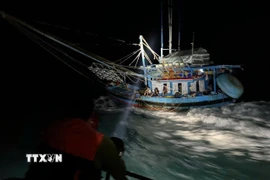 Lực lượng bảo vệ rừng chuyên trách Trạm Côn Sơn, Phòng Bảo tồn và Hợp tác Quốc tế-Ban quản lý Vườn quốc gia Côn Đảo truy đuổi tàu cá sử dụng đèn pha công suất lớn để đánh bắt cá cơm trái phép trong hợp phần bảo tồn biển. (Ảnh: TTXVN phát)